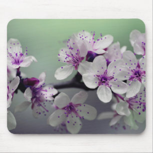 Beauful Cherry Blossom Muismat