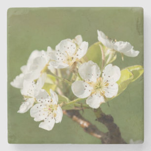 Beauful Flower Stone Onderzetter