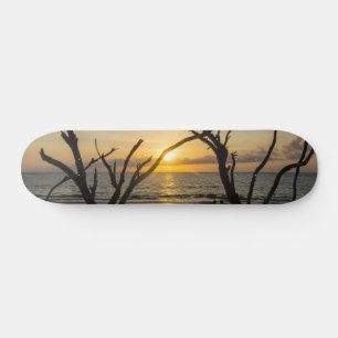 Beauful Folly Morning Skateboard