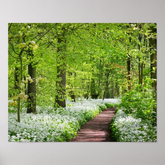 Beauful Green Springtime Forest Foto Poster (Voorkant)