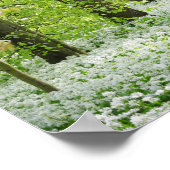 Beauful Green Springtime Forest Foto Poster (Hoek)
