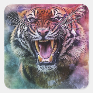 Beauful Growling Bengal Tiger Foto Vierkante Sticker