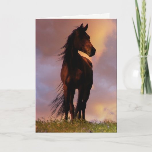 Beauful Horse Lover Birthday Kaart (Voorkant)