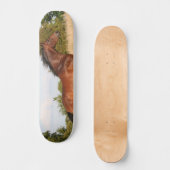 Beauful Horse Skateboard (Voorkant)