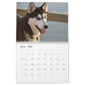 Beauful Husky Dog Kalender (Mar 2026)
