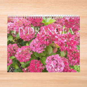 Beauful Hydrangea Blooms Floral Fotografisch Kalender