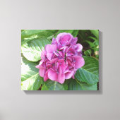 Beauful Hydrangea Canvas Afdruk (Voorkant)
