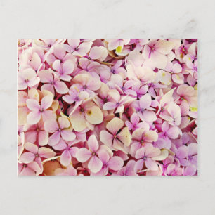 Beauful Hydrangea Flowers Briefkaart