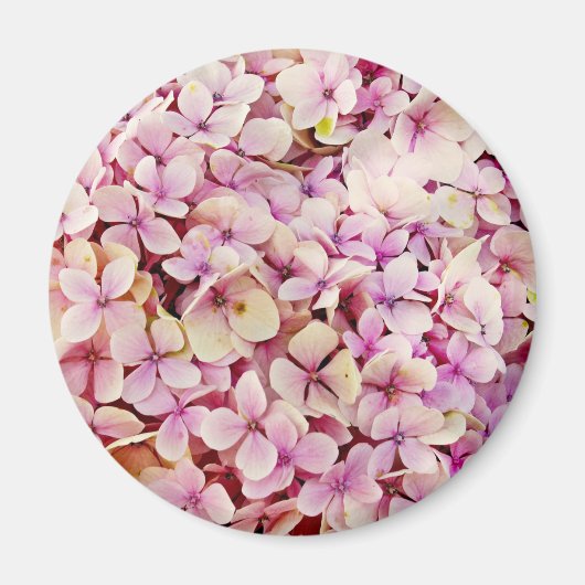 Beauful Hydrangea Flowers Magneet (Voorkant)