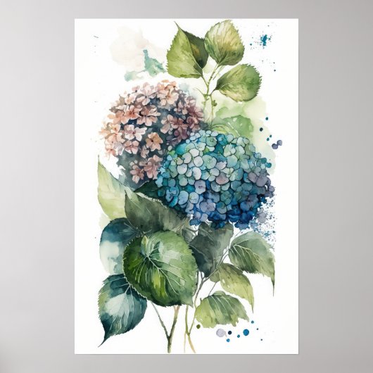 Beauful Hydrangeas-Waterverf Poster (Voorkant)