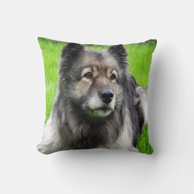 Beauful Keeshond Kussen (Voorkant)