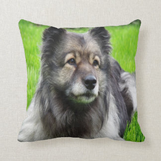 Beauful Keeshond Kussen