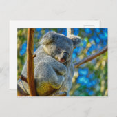 Beauful Koala Briefkaart (Voorkant / Achterkant)