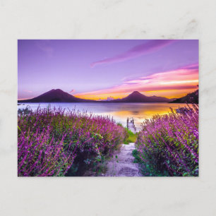 Beauful Lavender Field Uitzicht Mountains Briefkaart