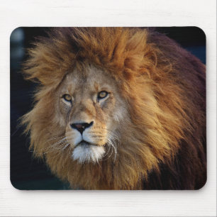 Beauful Lion Mouse Mat Muismat