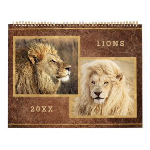 Beauful Lions Photo Afbeelding Calendar Kalender