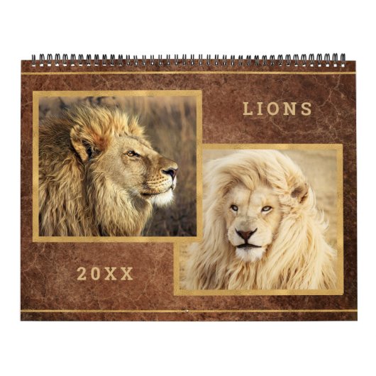 Beauful Lions Photo Afbeelding Calendar Kalender (Hoes)