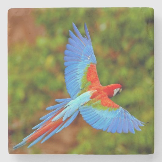 Beauful Macaw Stone Onderzetter (Voorkant)