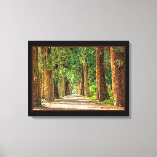 Beauful Magic Spring Forest Canvas Print (Voorkant)