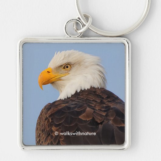 Beauful Majestic Bald Eagle in Tree Sleutelhanger (Voorkant)