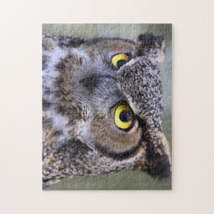 Beauful Owl Jigzaag Puzzle Legpuzzel