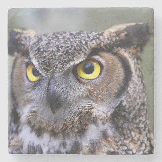 Beauful Owl Stone Onderzetter (Voorkant)