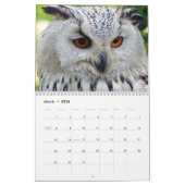 Beauful Owls Elegant Wall Kalender (Mar 2026)