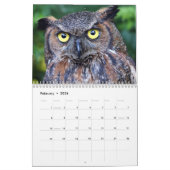 Beauful Owls Elegant Wall Kalender (Feb 2026)