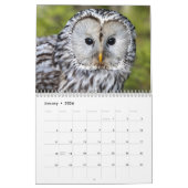 Beauful Owls Elegant Wall Kalender (Jan 2026)