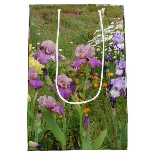 Beauful Paars Iris Flower floral Photo Medium Cadeauzakje (Achterkant)