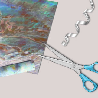 Beauful Paua Black Abalone New Zealand Shell Cadeaupapier