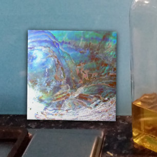 Beauful Paua Black Abalone New Zealand Shell Tegeltje