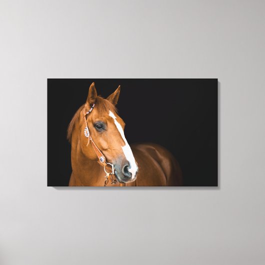 Beauful Quarter Horse Photo Canvas (Voorkant)