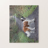 Beauful Saint Bernard-hond Legpuzzel (Verticaal)