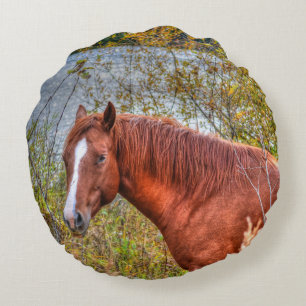 Beauful Sorrel Mare & Lake Uitzicht Equine Foto Rond Kussen