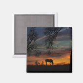Beauful Southwestern Horse Magnet Magneet (Voorkant / Achterkant)