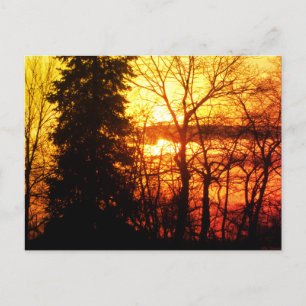 Beauful Sunset Canada behandelt Oranje Gold Sky Po Briefkaart