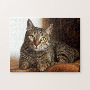 Beauful Tabby Cat Legpuzzel