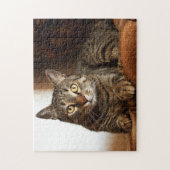 Beauful Tabby Cat Legpuzzel (Verticaal)