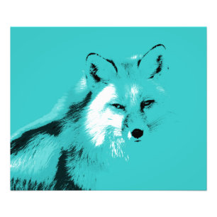 Beauful Turquoise Blue Fox Foto Afdruk