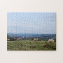 Beauful Wales Hill Uitzicht Landscape Welsh Sheep