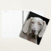 Beauful Weimaraner Hunting Dog Planner (Display)