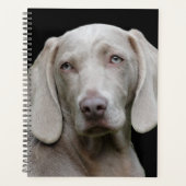 Beauful Weimaraner Hunting Dog Planner (Voorkant)