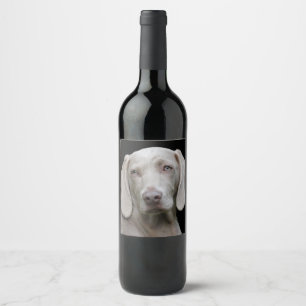 Beauful Weimaraner Hunting Dog Wijn Etiket