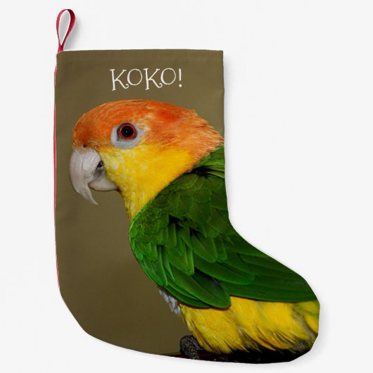 Beauful White Bellied Caique Parrot Posing Kleine Kerstsok (Voorkant)