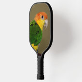Beauful White Bellied Caique Parrot Posing Pickleball Paddle (Links)