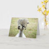 Beauful White Llama Kaart (Gele Bloem)
