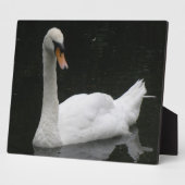 Beauful White Swan Plaque Fotoplaat (Zijkant)