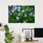 Beauful Wild Geraniums Poster (Thuiskantoor)