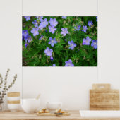 Beauful Wild Geraniums Poster (Keuken)